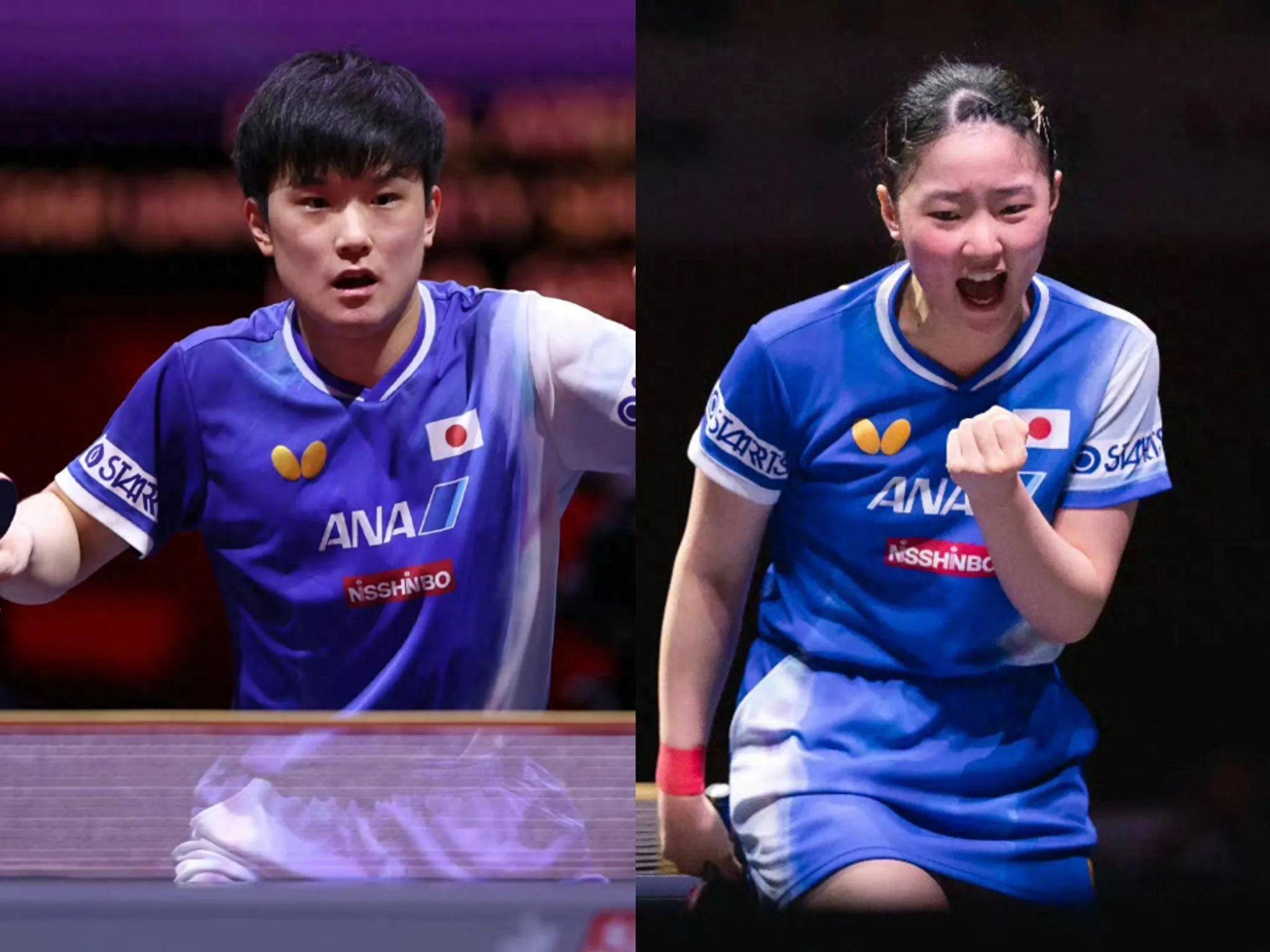 日本队完胜波兰队，张本智和刷新纪录