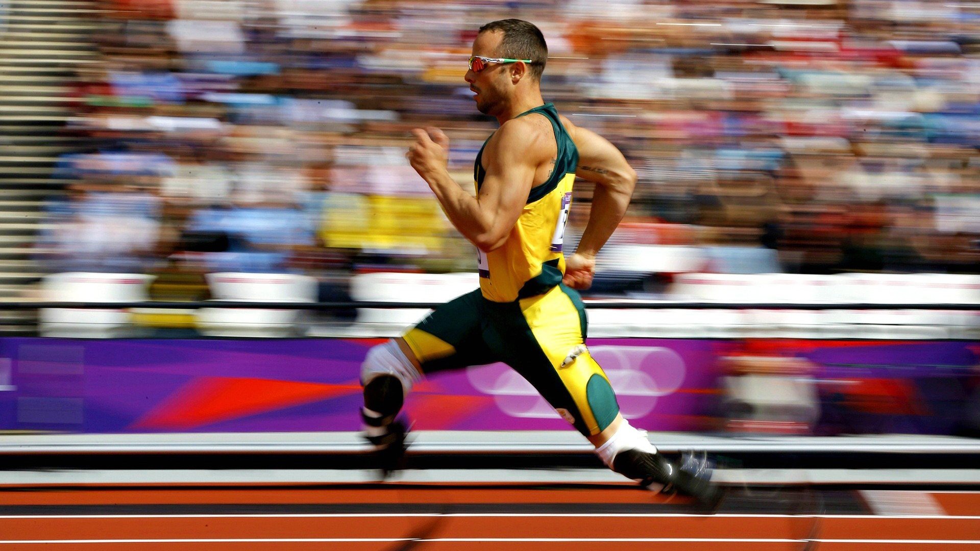 横扫阴影下的高光—樊振东闪耀赛场，折射胜负之外的体育精神