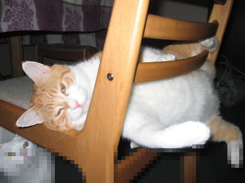 熵减的艺术,当杜兰特成为混沌球场的逆熵者