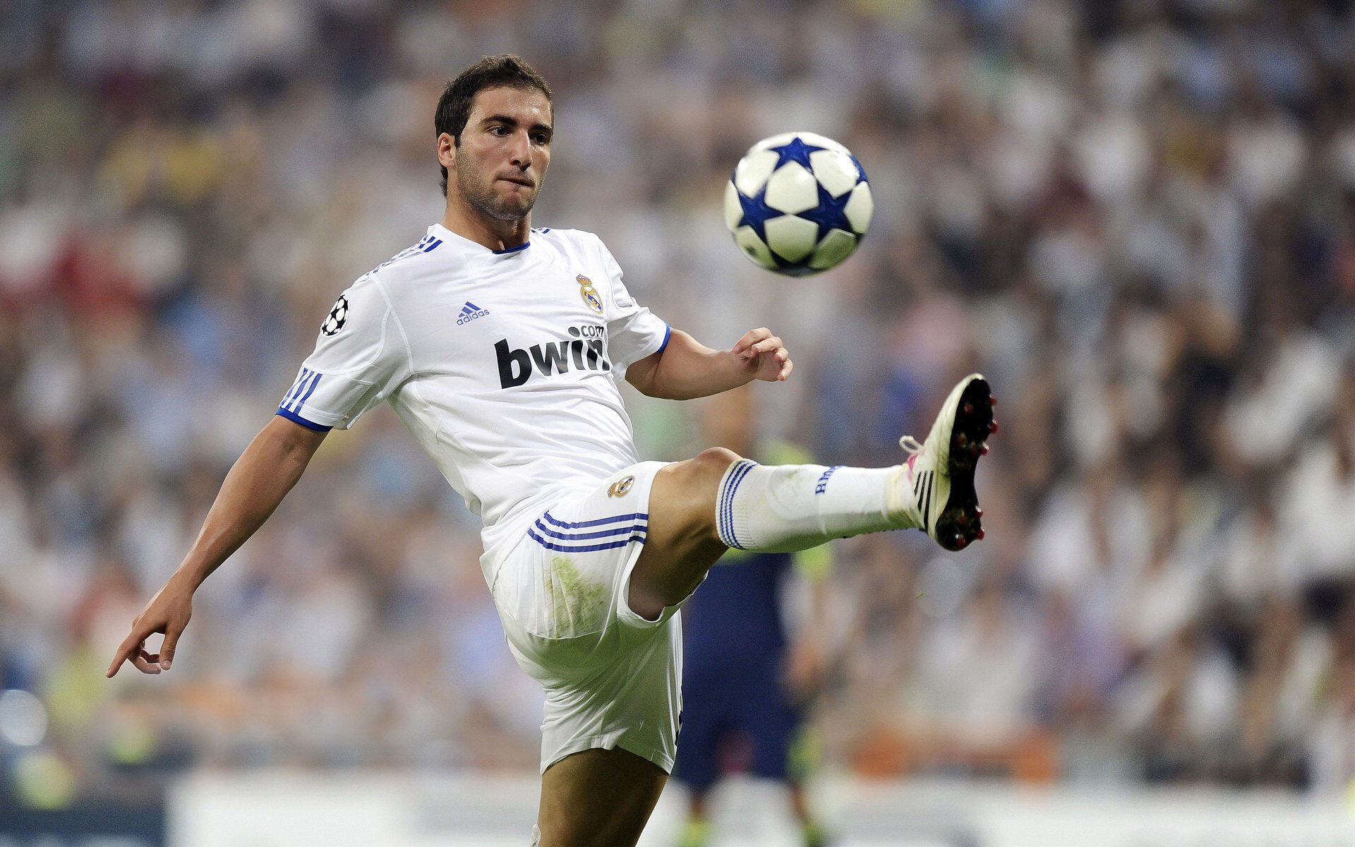 撕裂之城的全面统治,西亚卡姆数据爆炸背后的战术革命与领袖成长