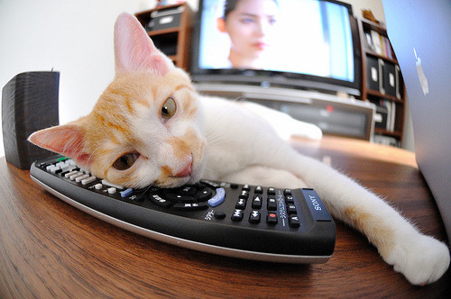 当篮球遇见绿茵,德罗赞的欧冠淘汰赛之夜