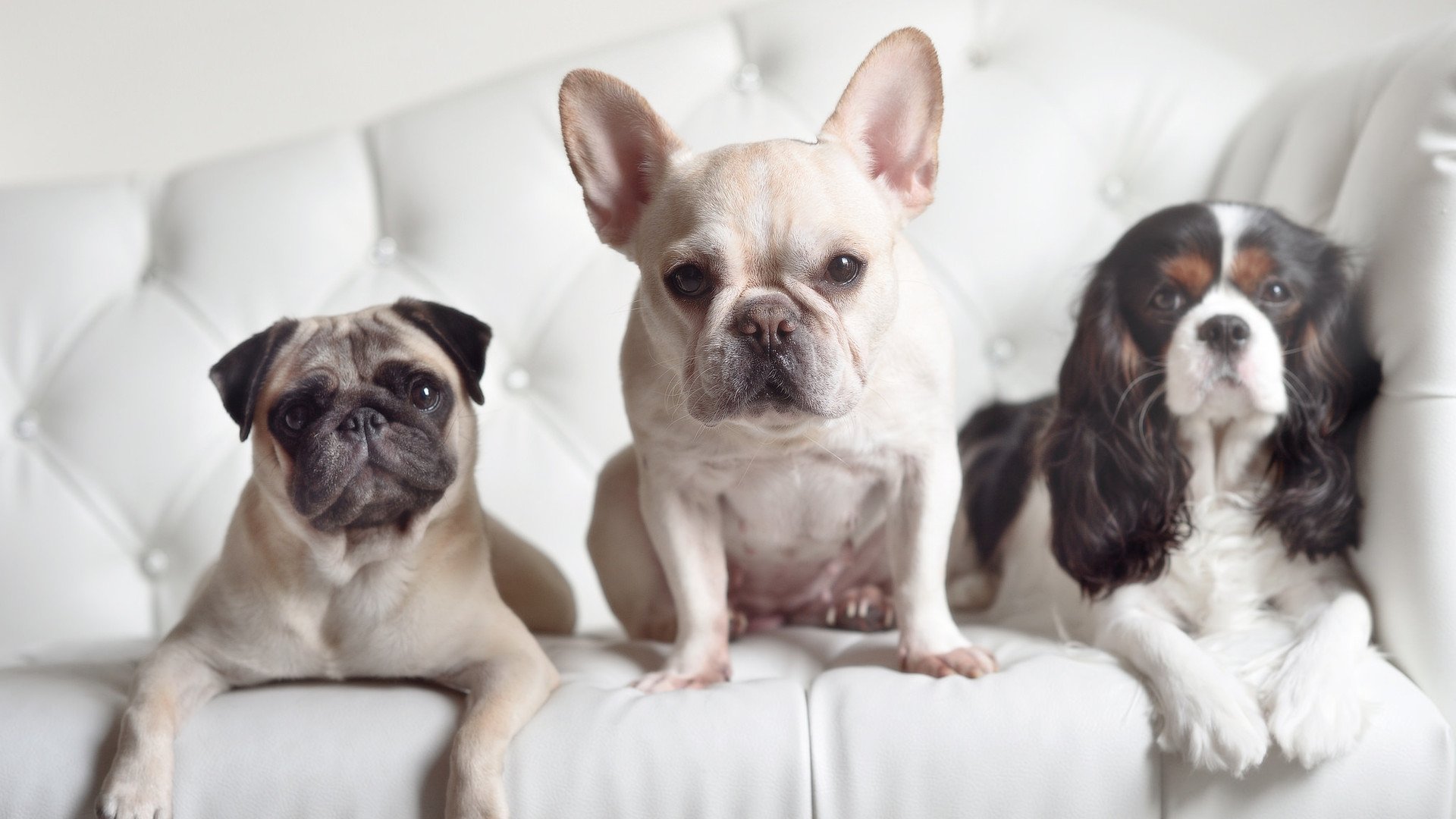 当足球心脏在新大陆搏动,记那个小贾伦不手软的世界杯史诗之夜