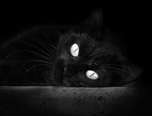 爱游戏官方入口-马克西觉醒之夜，一记冷血三分终结汽车城最后的轰鸣