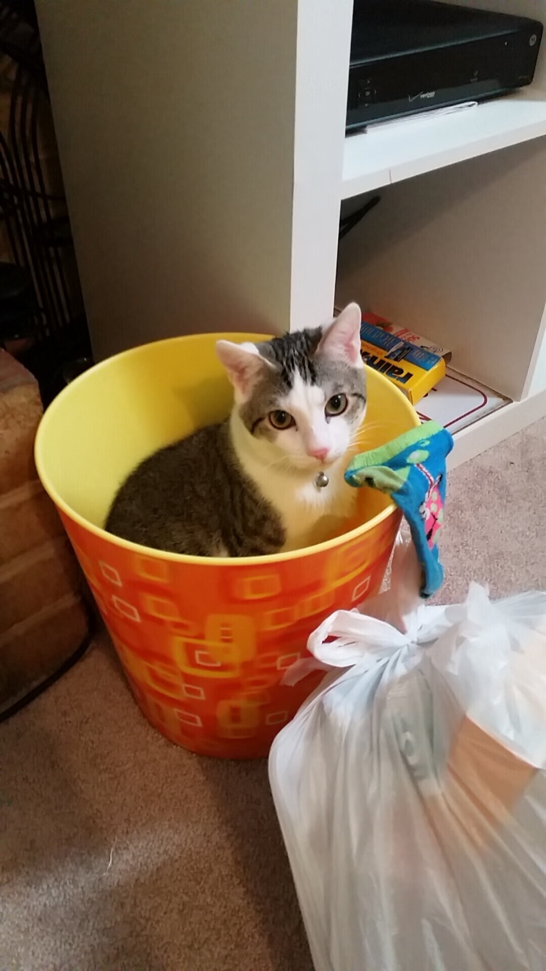 爱游戏在线-双重舞台，阿什拉夫—当巴黎的足球之魂与NBA季后赛的炽热在同一夜共振