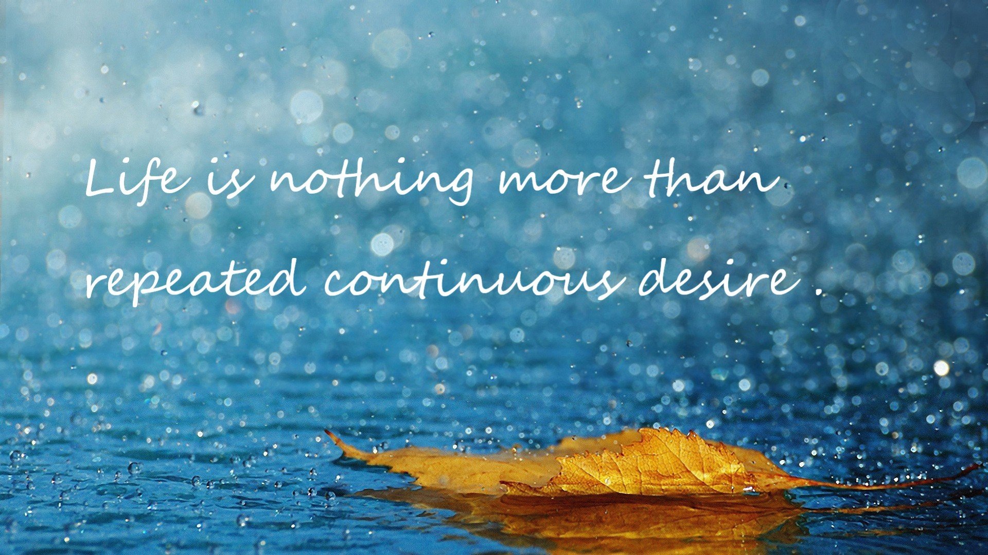 爱游戏-暗黑封印·天山脚下，戈贝尔如何用死亡缠绕，见证公牛跨洲际绝杀新疆