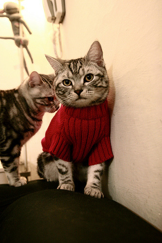 双线战场,一场胜利与一脚射门,如何雕刻足球的决定性时刻