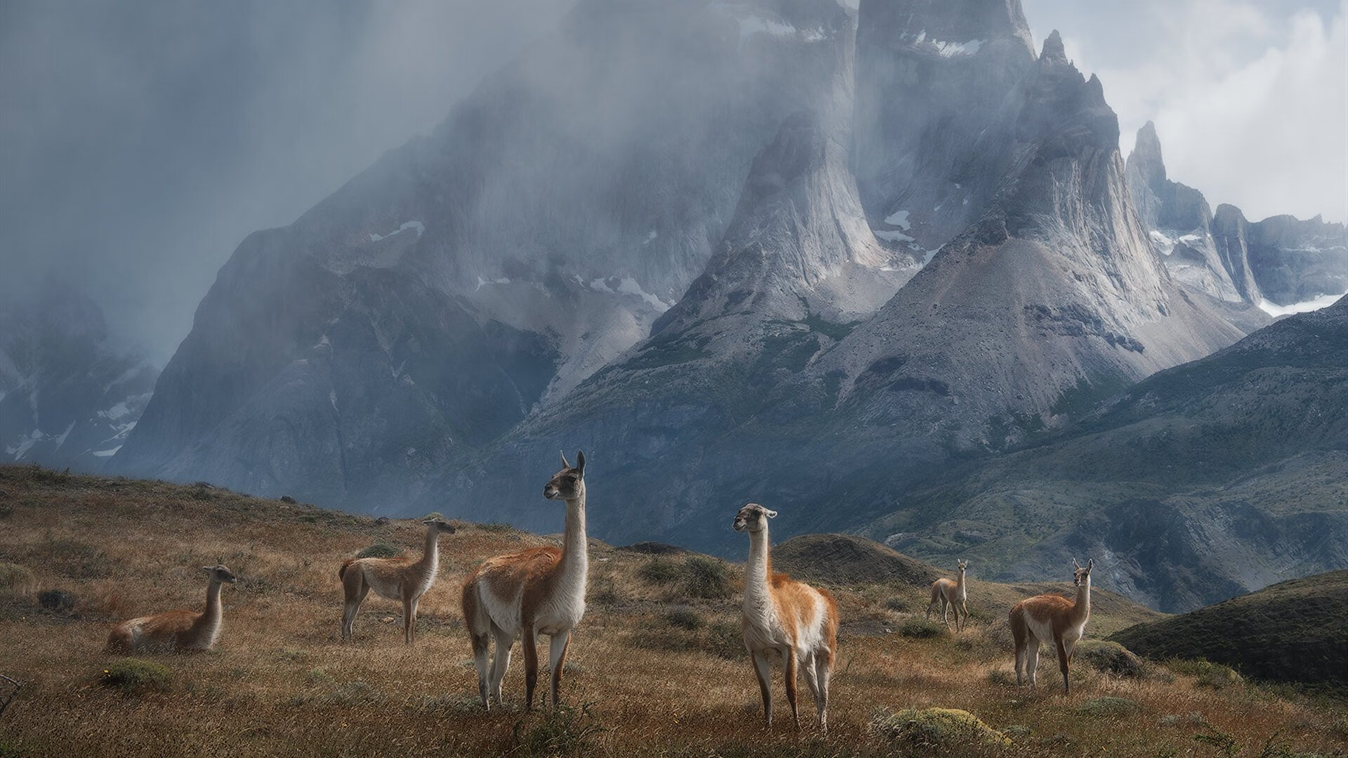 深圳队冰封南海岸，欧文末节20分率队粉碎热火不败金身
