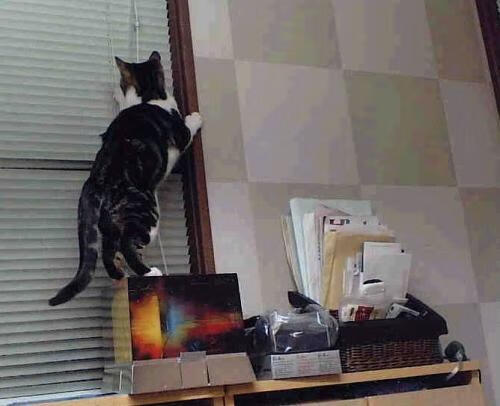 节奏的胜利,英格兰足球如何以节奏掌控西班牙,及阿克在欧冠国家德比中的主宰时刻