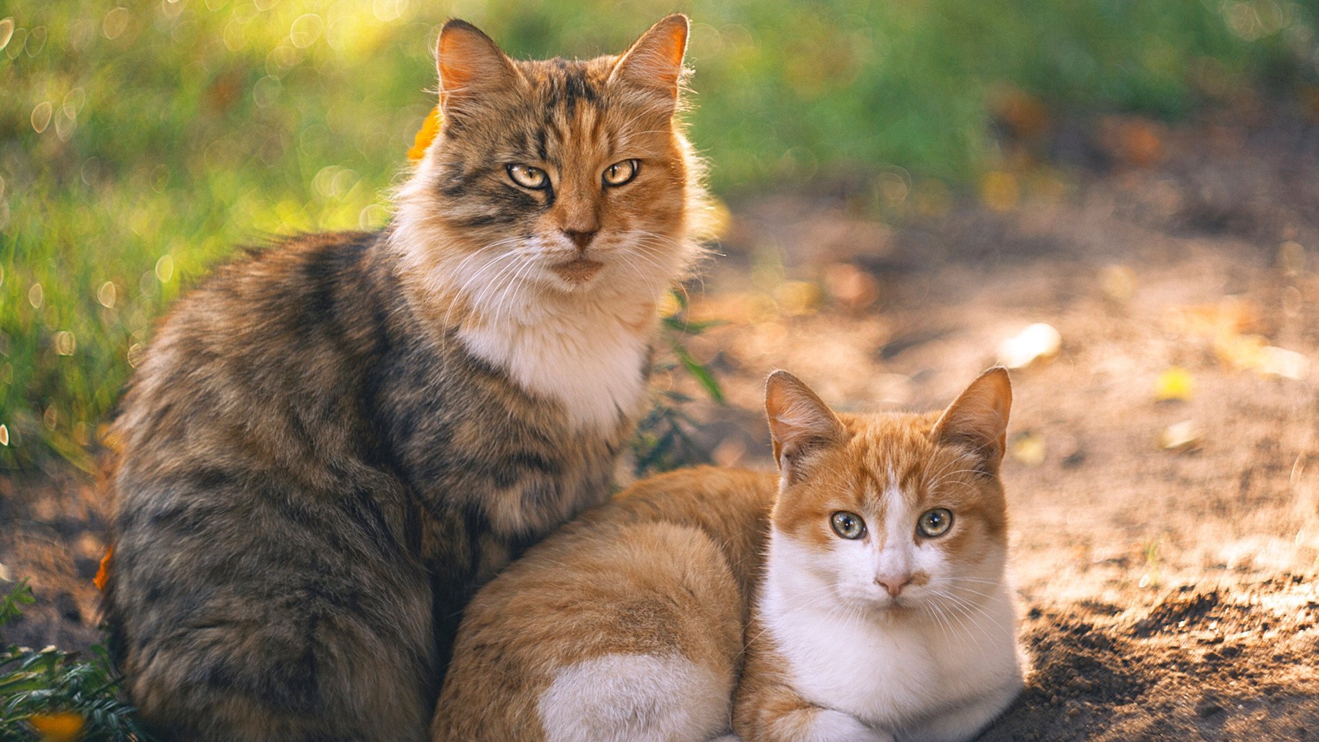 宿敌与故乡，霍勒迪的雨夜里程碑，刻在圣西罗墙上的另一种永恒