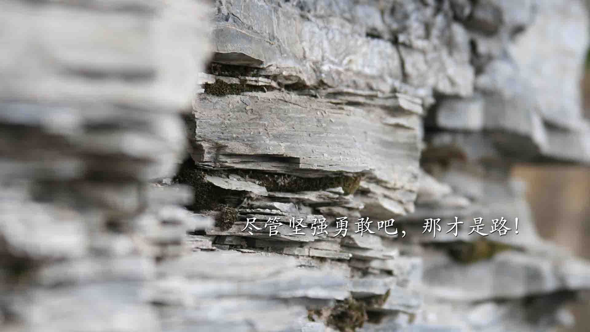 血色黄昏下的荣耀,2026世界杯C组,匈牙利绝杀喀麦隆,罗德里戈一个人的史诗