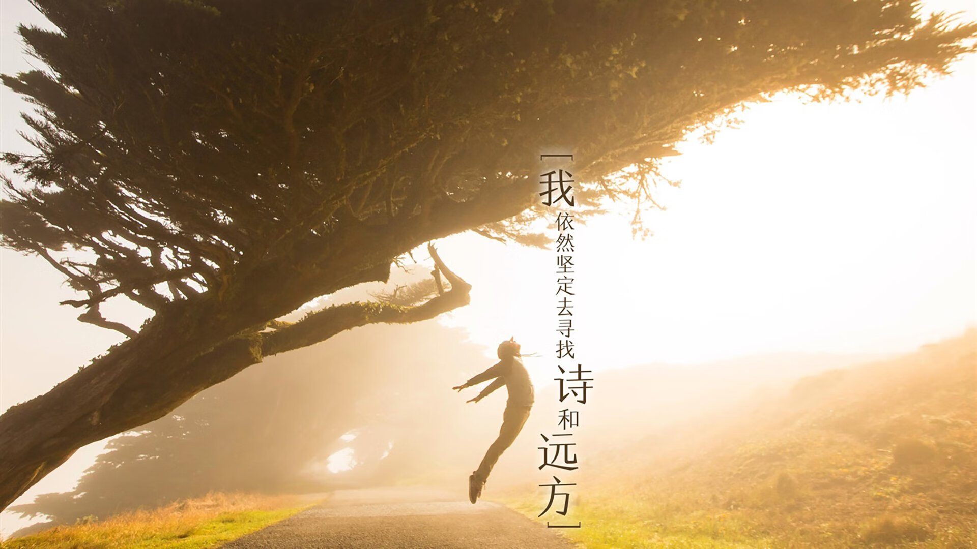 爱游戏-星条旗在足球荒漠升起，坎塞洛的复仇剧本与替补奇兵的致命闪光