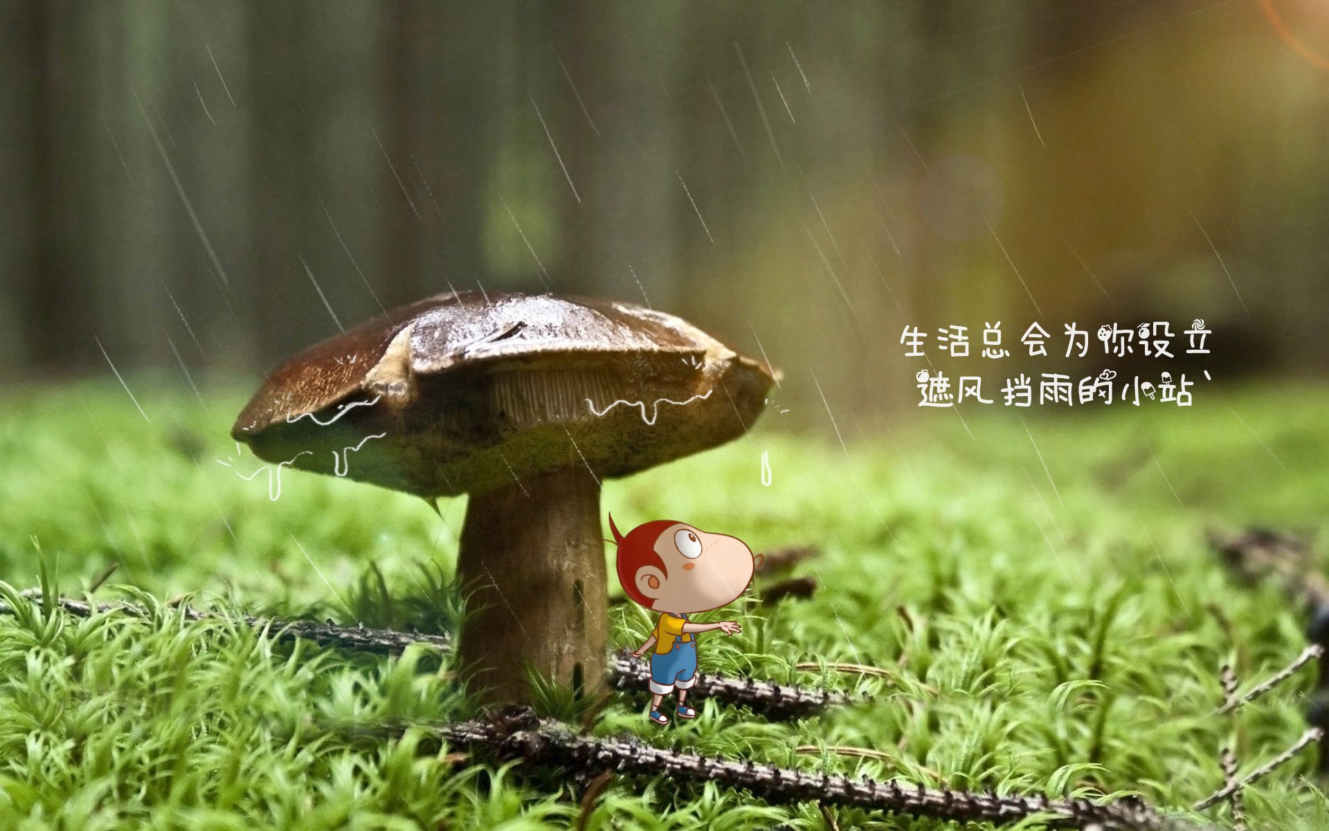 阿诺德的独舞,2026世界杯F组,泰国碾压冰岛,一场改写亚洲足球历史的唯一性战役